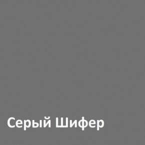 Юнона Шкаф торцевой 13.221 в Режи - rezh.ok-mebel.com | фото 2